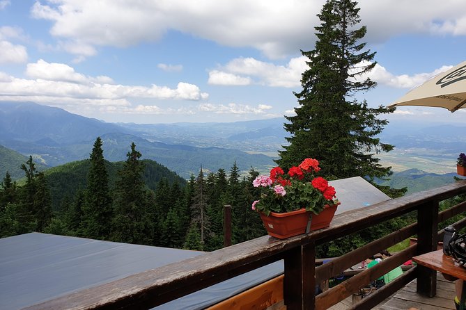 POIANA BRASOV and POSTAVARU CHALET Ebike Tour (Brasov) - Ask Away