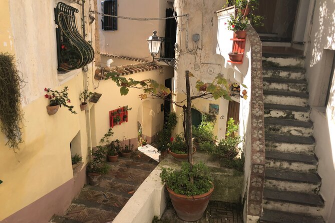 Pompeii and the Divine Amalfi Coast Private Tour - Traveler Feedback and Recommendations