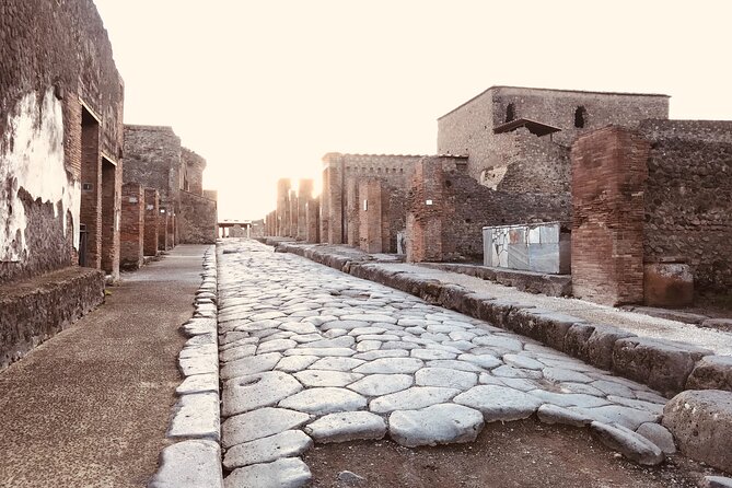 Pompeii Private Tour With Expert Local Guide - Customer Reviews and Ratings
