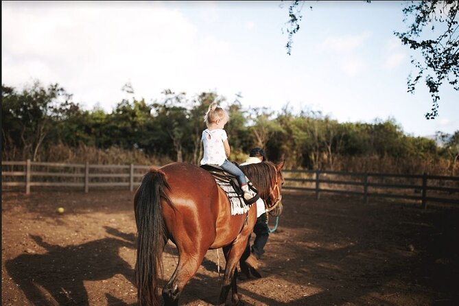 Pony Rides at North Shore Stables - Additional Services Offered
