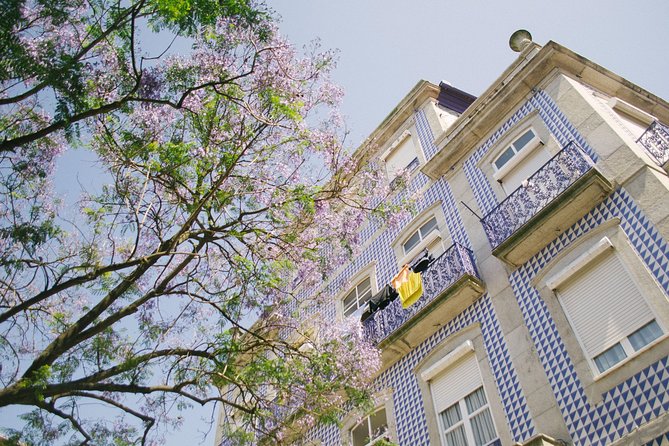 Porto Small-Group Instagram Tour - Reviews and Feedback From Travelers