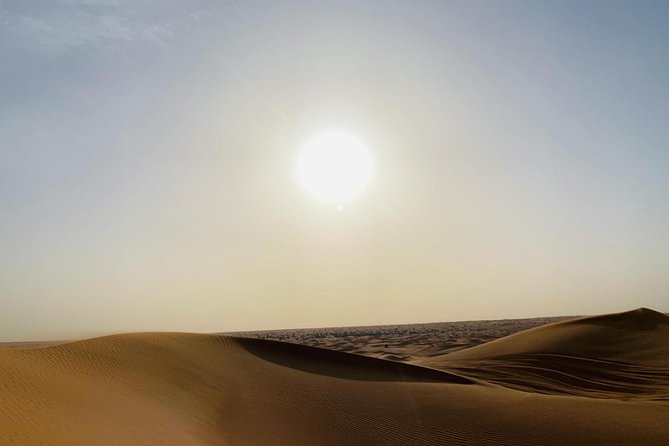 Premium Red Dunes Safari and Camel Safari With BBQ Dinner - Customer Feedback and Sentiment