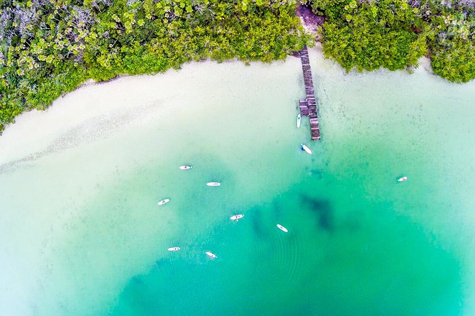 Premium SUP Expedition to Lagoon Kaan Luum & Taco Stop in Tulum - Pickup and Accessibility