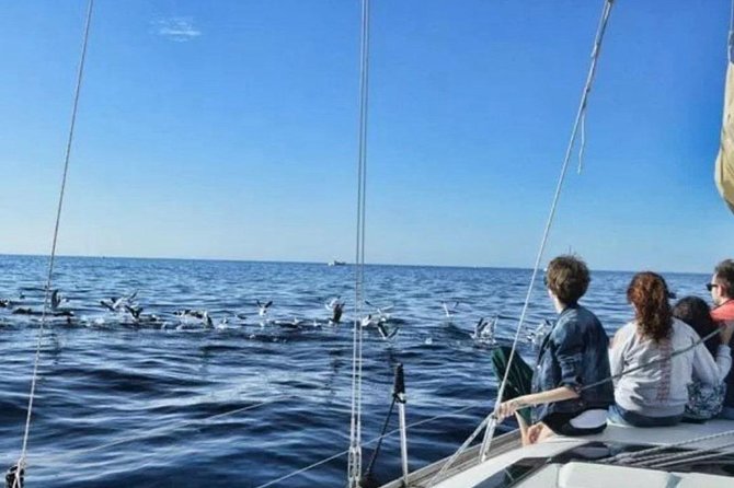 Premium Yacht Private Charter - Customer Reviews