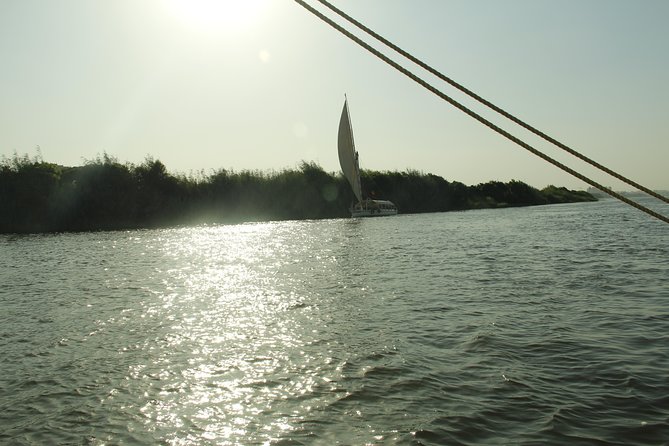 Private 7 Days 6 Nights Cairo, and Nile Cruise - Contact Details