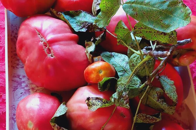 Private Authentic Family Home Local Lunch From Farm From Split - Frequently Asked Questions