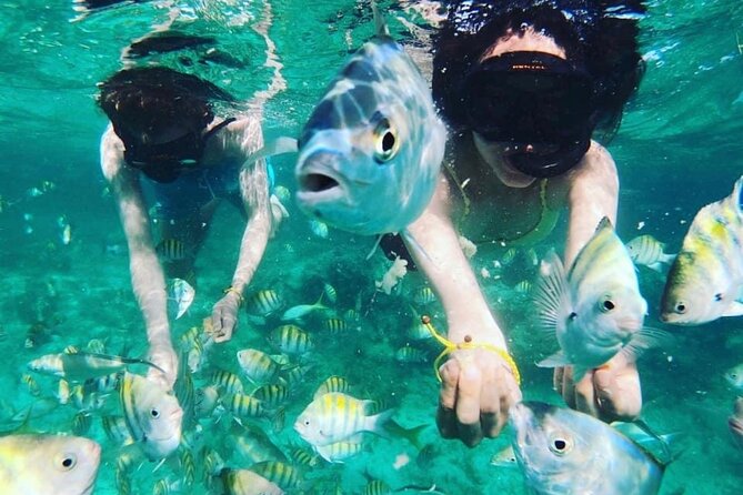 Private Boat, and Wonderful Snorkeling in Punta Cana - Snorkeling Equipment and Activities