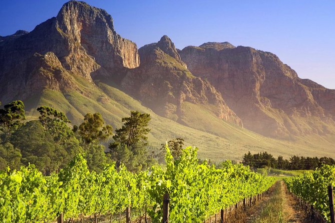 Private Cape Winelands Guided Full Day Tour From Cape Town - Travelers Raving Reviews