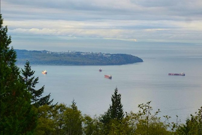 Private Charter Tour to Explore Vancouver and Surrounding Area - Accessibility and Participation