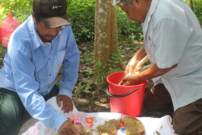 Private Chichen Itza & Yaxunah Ruins With Cenote - Cenote Experience