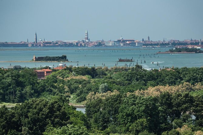 Private Cruise: Murano and San Francesco Del Deserto Islands - Customer Reviews and Ratings