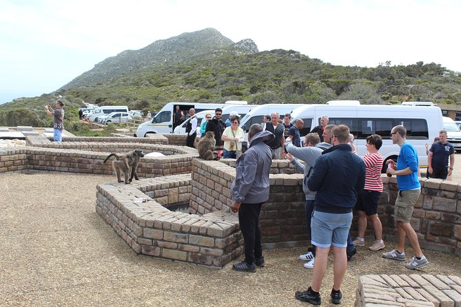 Private Day Tour to Cape of Good Hope Penguins Inc Entry Tickets From Cape Town - Additional Costs and Considerations