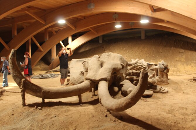 Private Day Tour to Viminacium and Smederevo Fortress - Traveler Reviews and Feedback
