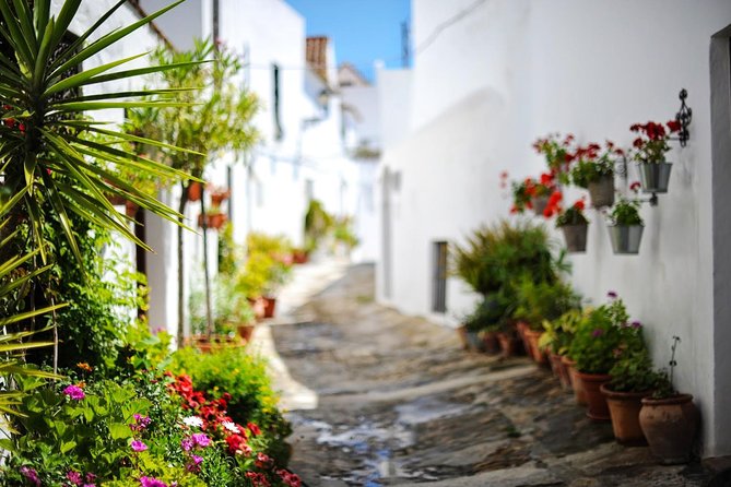 *Private Day Trip* Gibraltar and Vejer From Jerez - Pricing and Booking