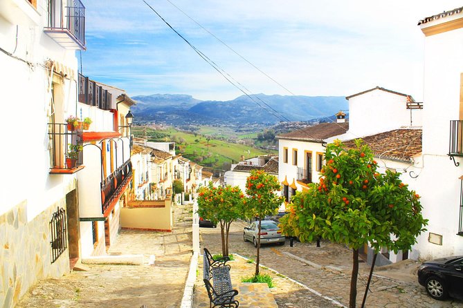 *Private Day Trip* Ronda and Setenil De Las Bodegas From Jerez - Sum Up