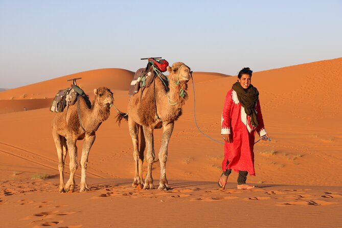 Private Desert Tour To Draa Valley And Zagora From Marrakech - Memorable Desert Camping