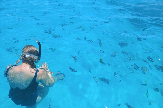 Private Dolphin Tour and Snorkeling at Mnemba Island Reef - Tips for a Memorable Experience