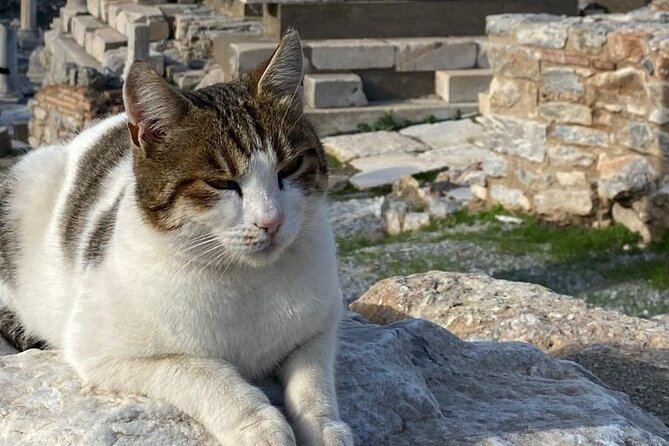 Private Ephesus and Artemis Temple Half Day Tour - Sum Up
