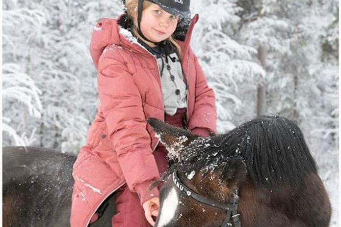 Private Finnhorse Riding in Rovaniemi, Finland With Guide - Exploring the Finnish Countryside