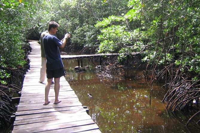 Private Full-Day: Dolphin & Monkey Jungle Adventure - Booking Process