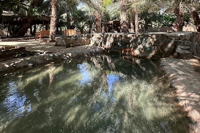 Private Full Day Hatta Visit Tour - Customer Reviews