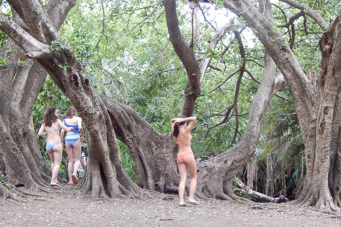 Private Full-Day Materuni Waterfall, Coffee and Hot-spring Tour in Moshi - Tips for Travelers