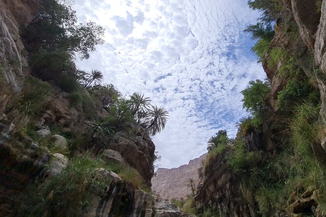 Private Full-Day Wadi Tiwi and Bimmah Sinkhole Tour From Muscat - Booking Information