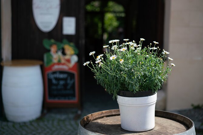 Private Guided Full Day Tour to Charming Burgenland Region With Wine Tasting - Exploring the Charming Burgenland Region