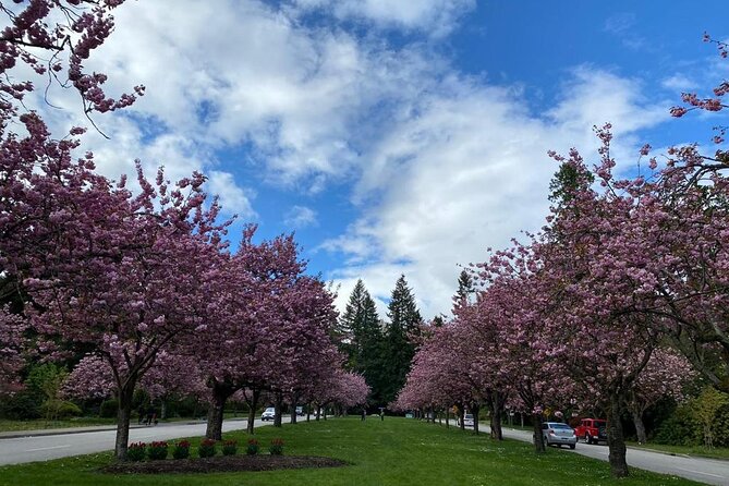 Private Guided Grand City Tour in Vancouver - Final Thoughts on the Tour