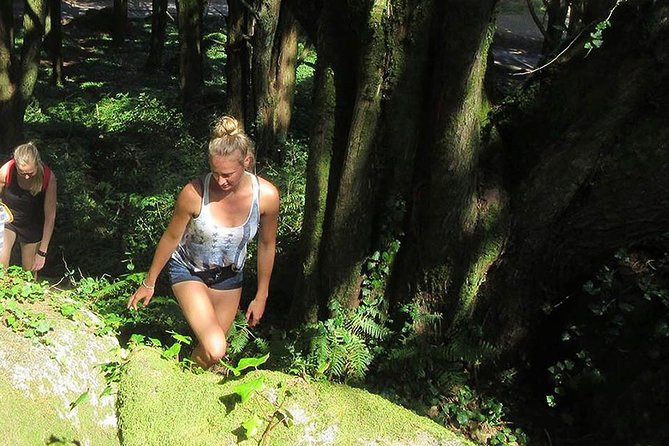 Private Guided Hike in Sintra-Cascais: Explore Nature! - Cancellation and Refund Policy