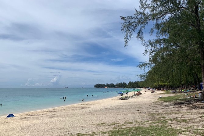 Private Guided Tour of Northern Mauritius With Shopping in Port Louis - Feedback and Experiences