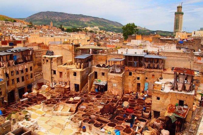 Private Guided Tour of the Medina of Fez and Its Surroundings - Nearby Attractions to Explore