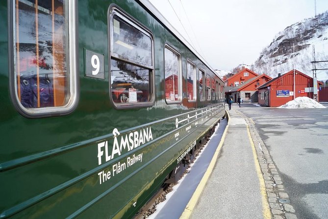Private Guided Tour to Oslo - Nærøyfjord Cruise & Flåm Railway - Sum Up