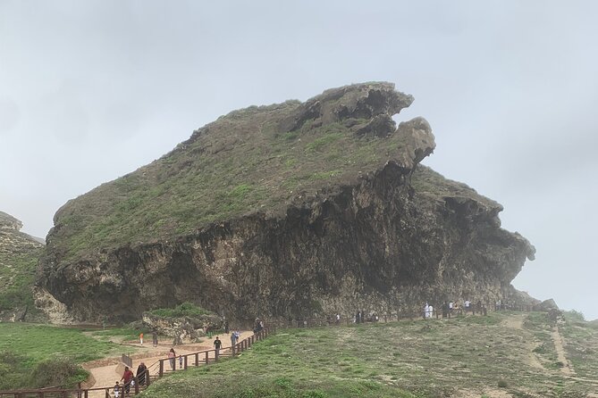 Private Guided Tour to West Beaches of Salalah - Customer Reviews