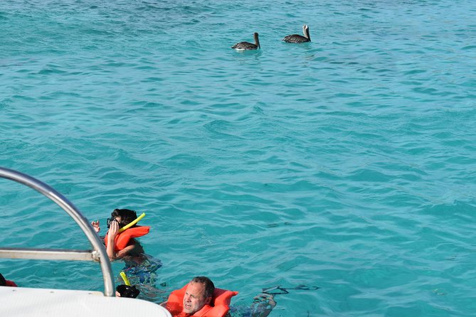 Private Half Day Charter - Safety and Accessibility