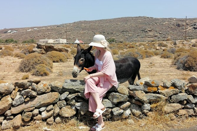 Private Half-Day Mykonos Insider Tour With Pick up - Tour Duration