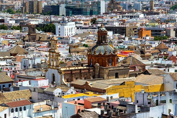 Private Half Day Tour of Sevilla With Hotel Pick up and Drop off - Additional Highlights