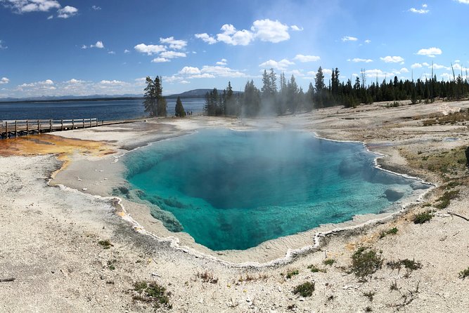Private Hidden Gems of Yellowstone! Lunch W/ Family Friendly Hikes Included! - Glowing Traveler Testimonials