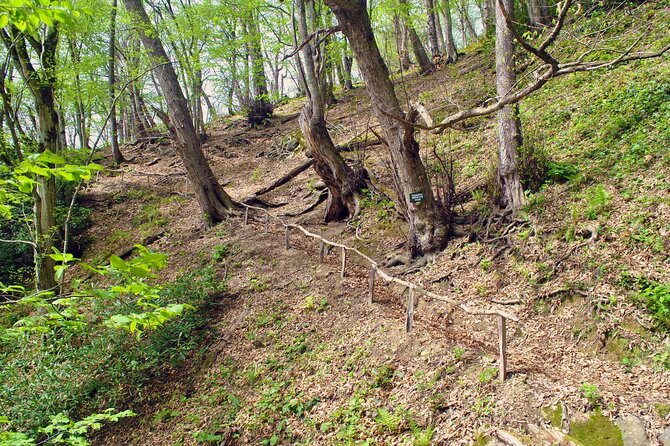 Private Hiking Tour to Machakhela National Park From Batumi - Highlights of the Hike
