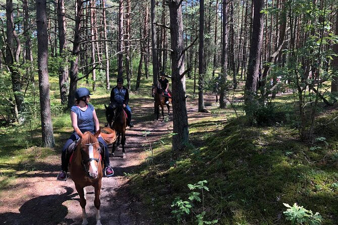 Private Horse Riding on the Beach in Riga - About the Horses