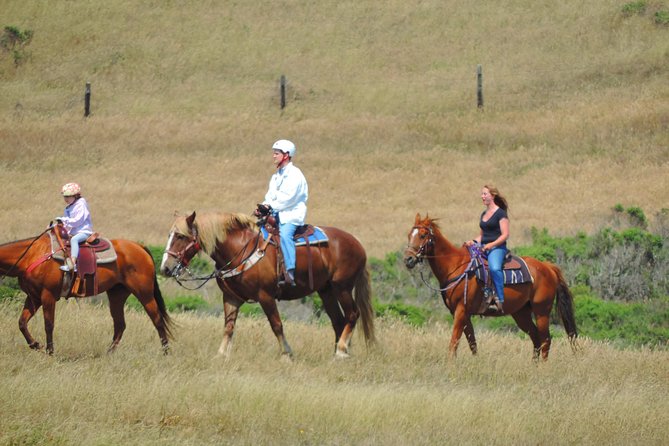 Private Horseback Riding and Muir Woods Adventure From San Francisco - Customer Reviews
