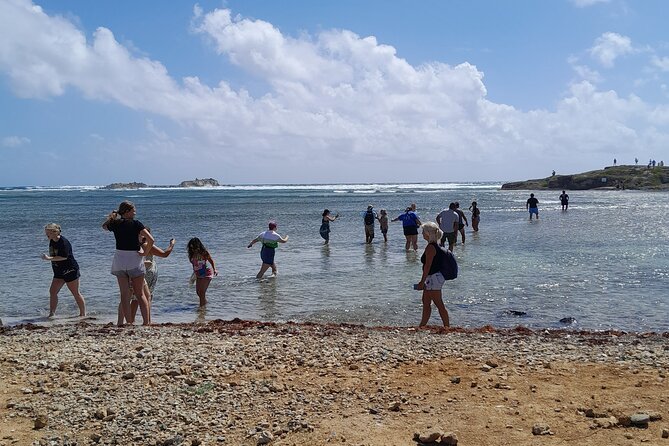 Private Island Tour in St. Maarten - Professional Equipment