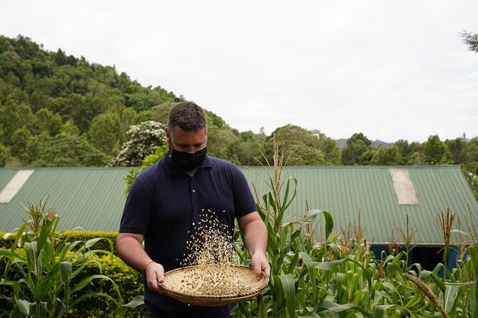 Private Meru Coffee Tour in Nkoaranga - Planning Your Private Meru Coffee Tour