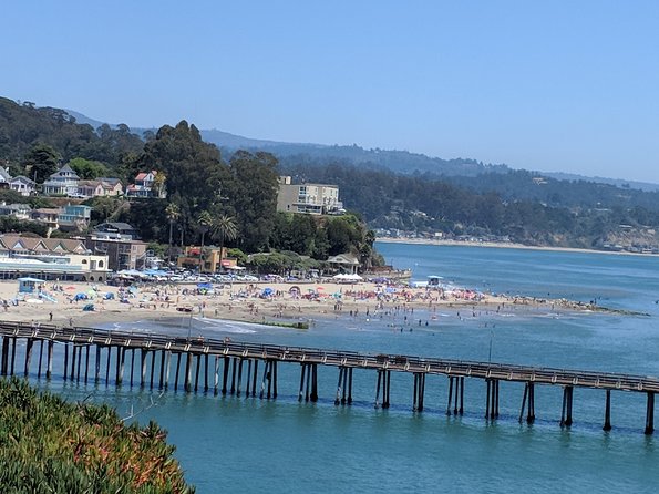 Private Monterey, Carmel and Big Sur Day Trip From San Francisco - Feedback and Traveler Experiences Reviewed