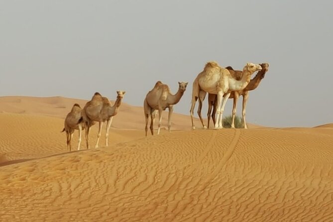 Private Morning Desert Safari From Dubai - Booking and Cancellation