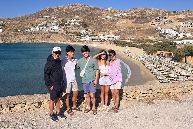Private Mykonos Island Tour by Luxury Minibus up to 11 Passengers - Sum Up