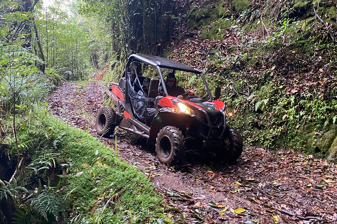 Private Off-road Buggy Driving Experience Review - Since You Asked