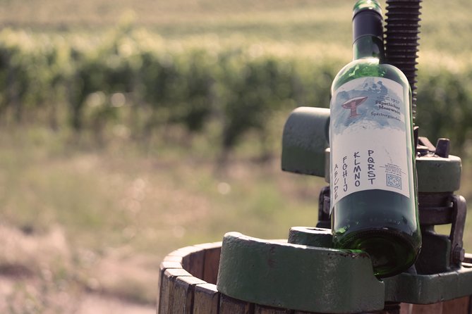 Private: Outdoor Escape Game Tuniberg: Eduardo & the Wine Secret - What to Expect on the Tour