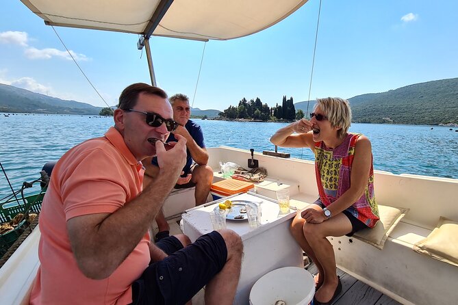 Private Oyster and Wine Tasting Day Trip Along Peljesac - The Sum Up