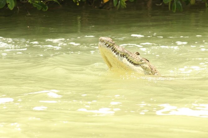 Private Rio Lagartos Flamingo and Pink Lakes - Frequently Asked Questions